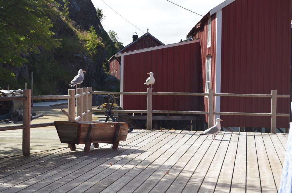 Lofoten Cabins - Sund Sund  Exterior foto